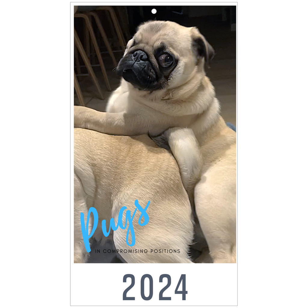 Pugs in Compromising Positions 13-month 2024 Wall Calendar