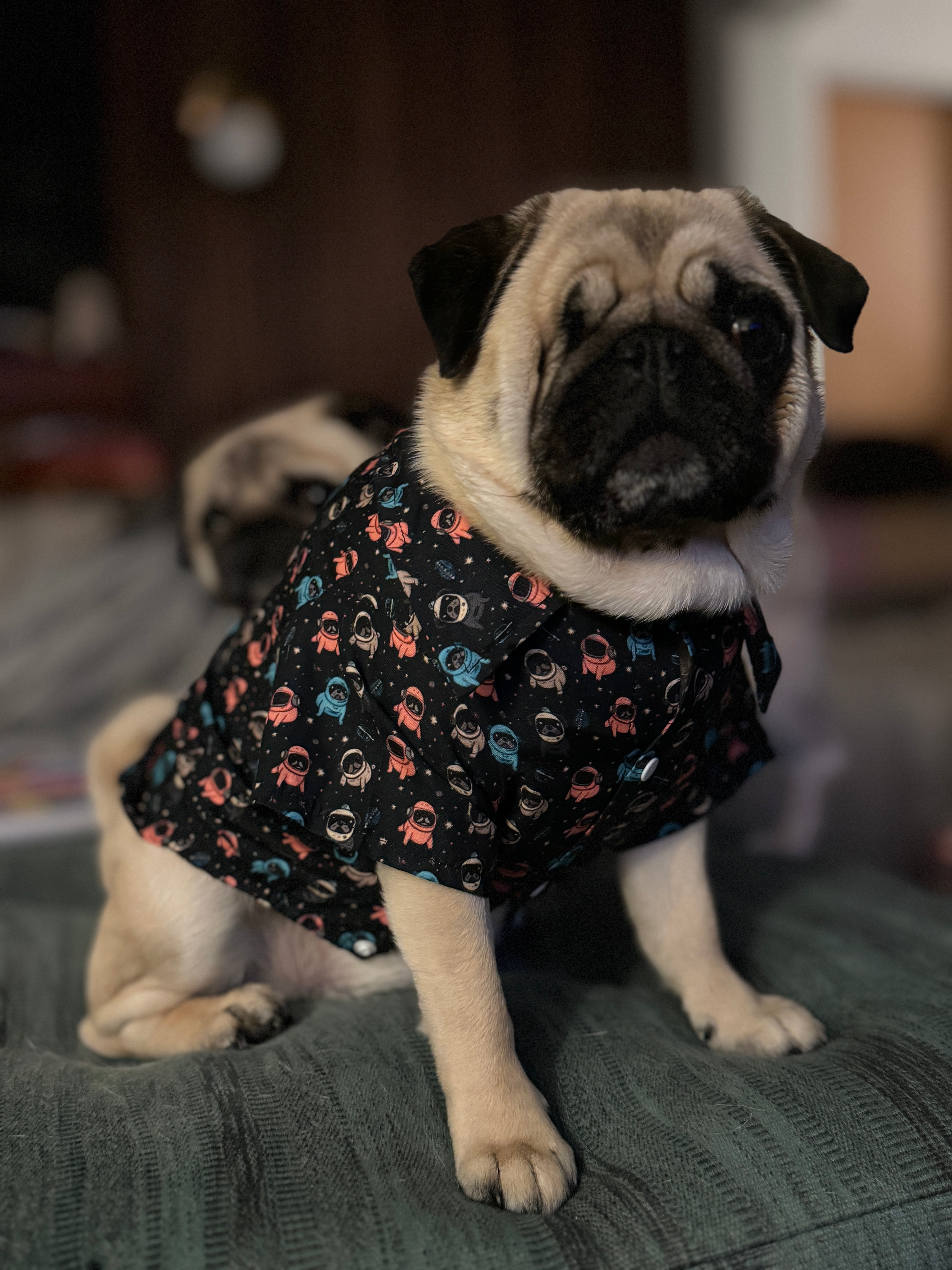 pug dress shirt Men's COOL PUG DOG w/ SUNGLASSES Dress Polo Shirt! Size M