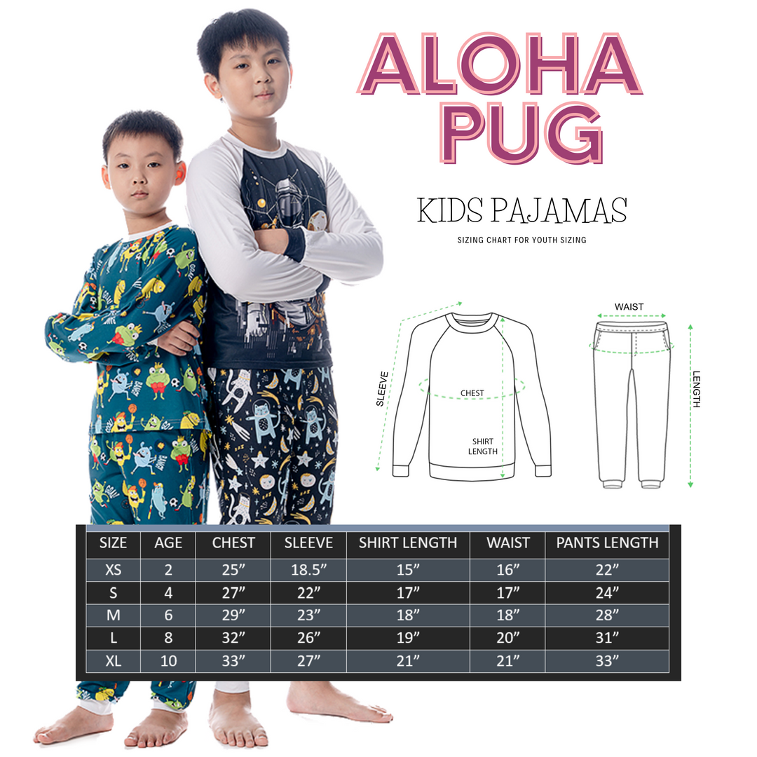 Space Pug Pajama Set in Kids and Adult Sizes, Matching Family PJs