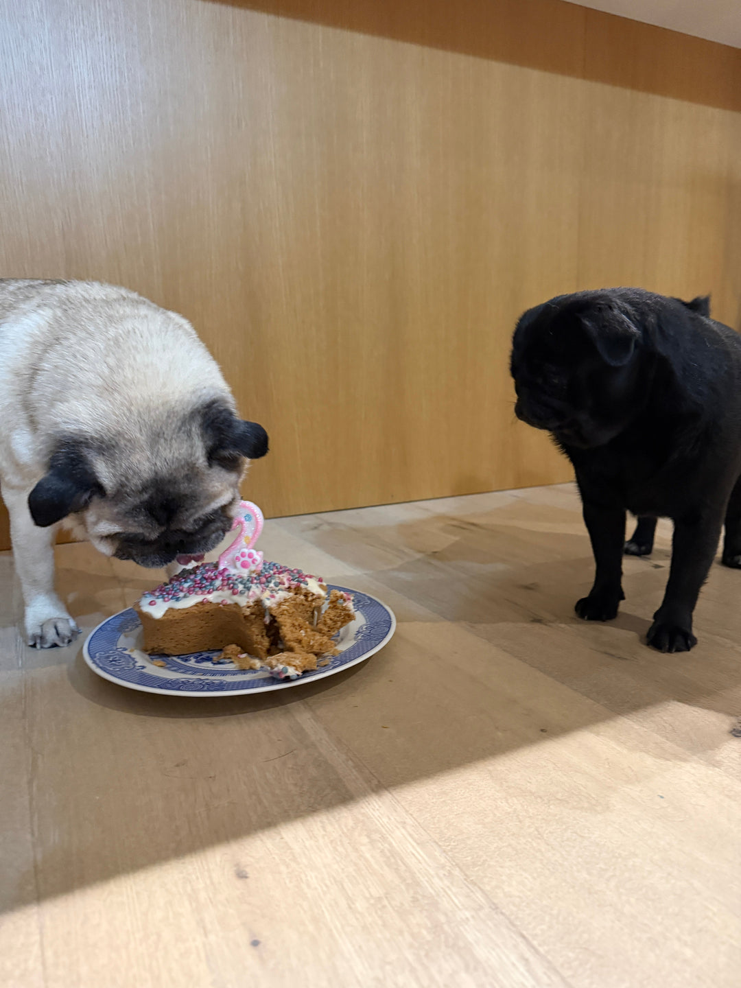 Lenore eats Lyapuff's second birthday cake