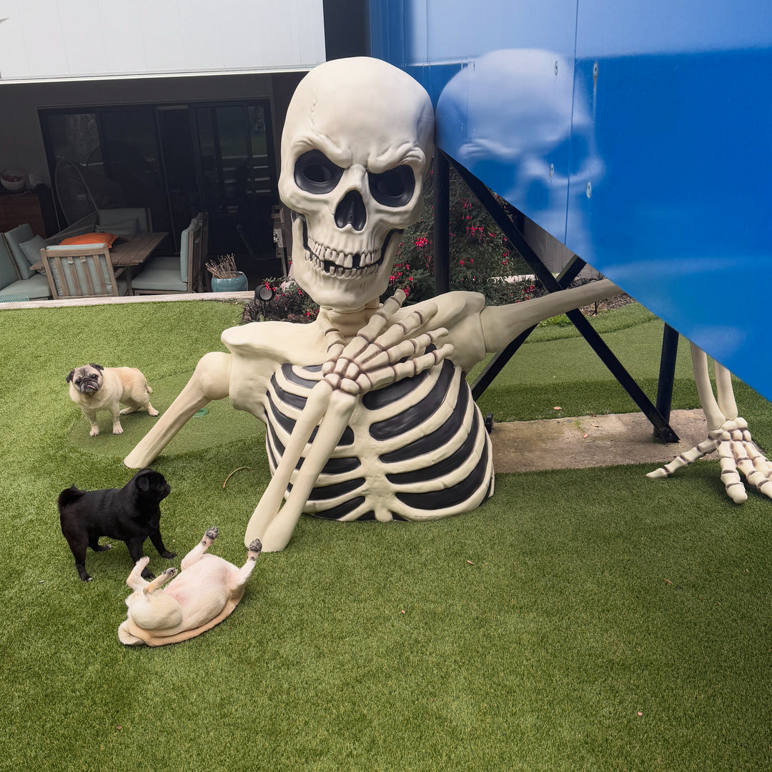 Pugs roaming a yard near a giant skeleton