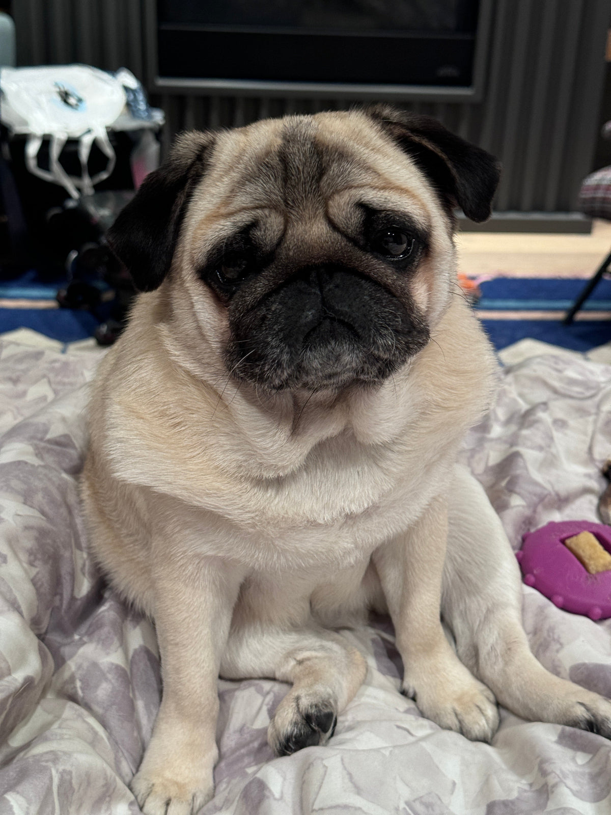 Lulu