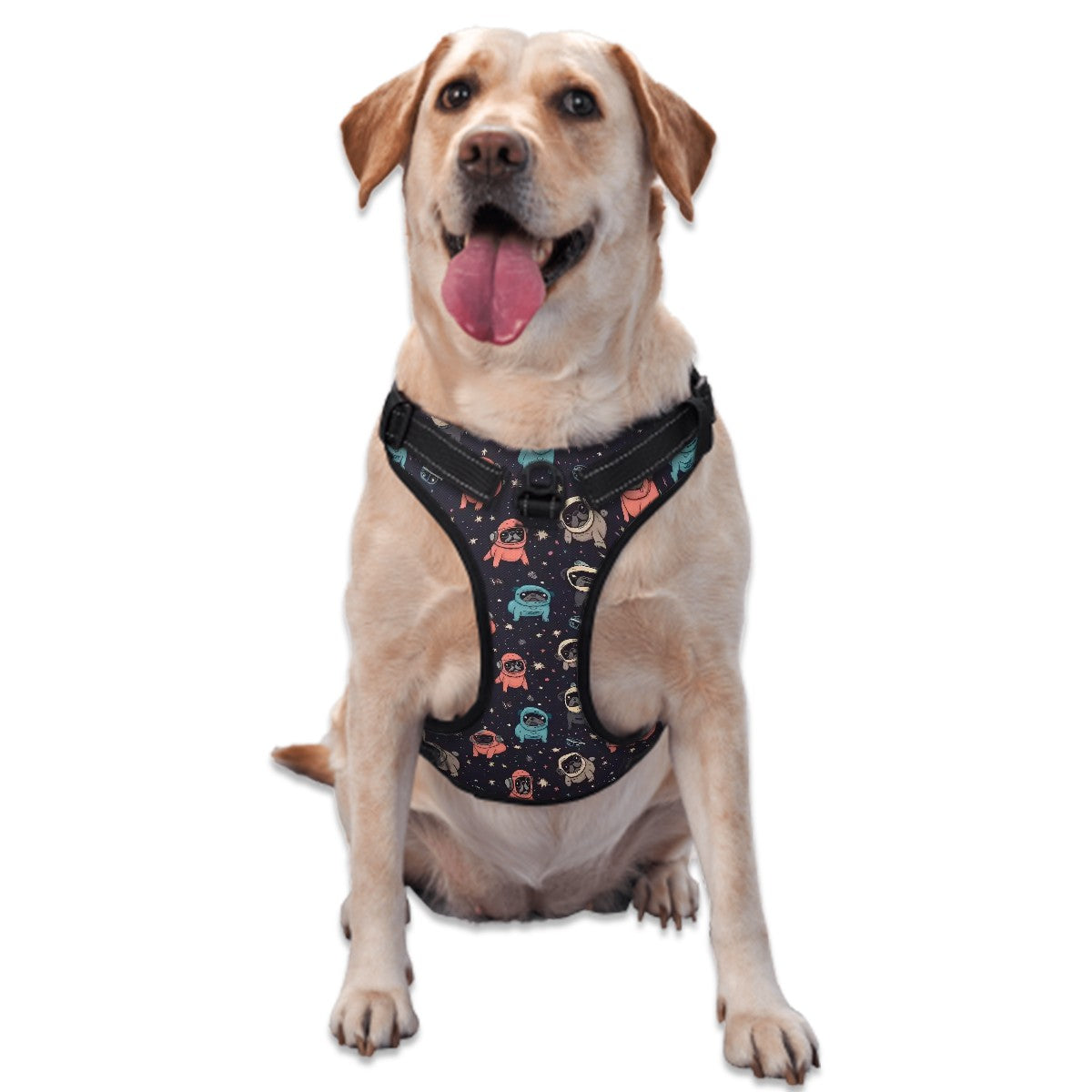 Pug life harness best sale