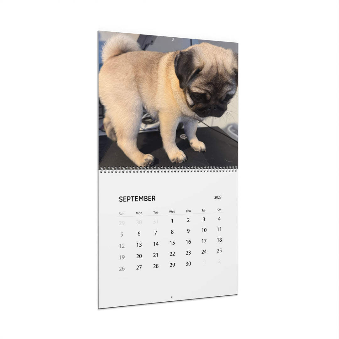 Pop Tart Pug Puppy 2027 Wall Calendar