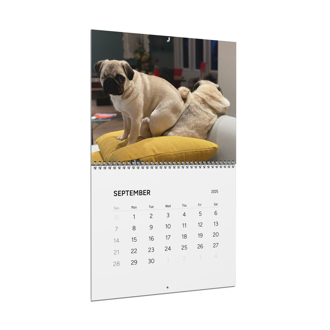 Pugs in Compromising Positions Wall Calendars 2025