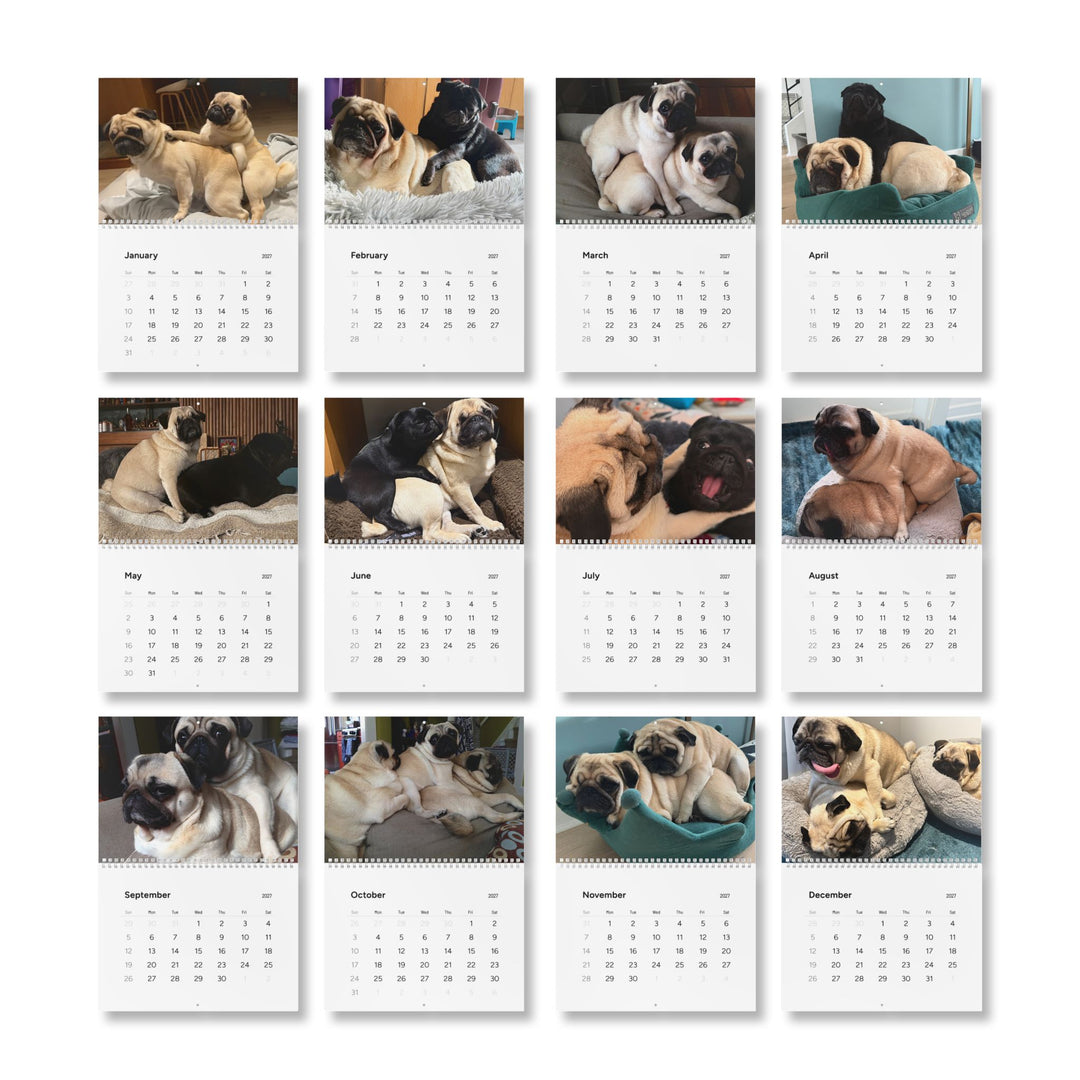Pugs in Compromising Positions Wall Calendars 2027