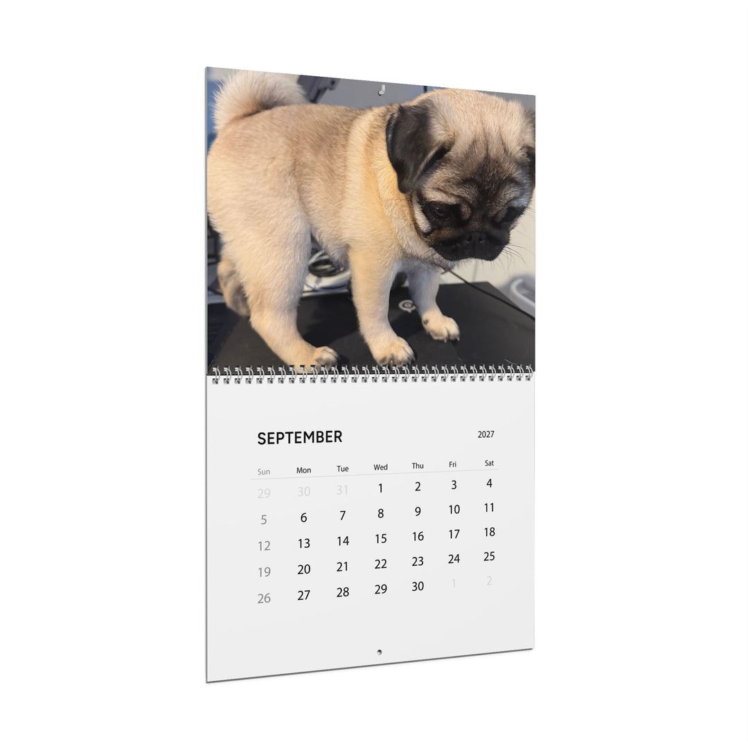 Pop Tart Pug Puppy 2027 Wall Calendar