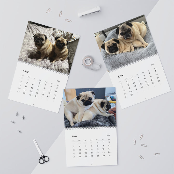 Pugs in Compromising Positions Wall Calendars 2025