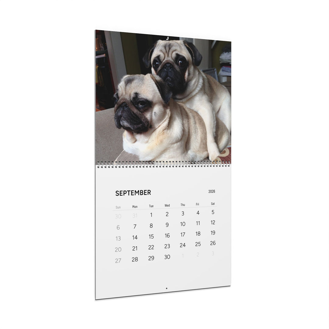 Pugs in Compromising Positions Wall Calendars 2026