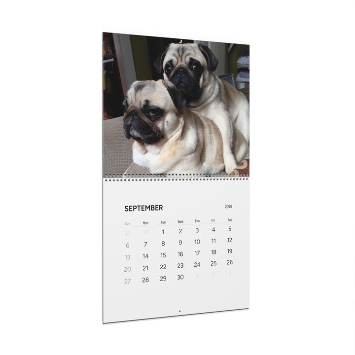 Pugs in Compromising Positions Wall Calendars 2026