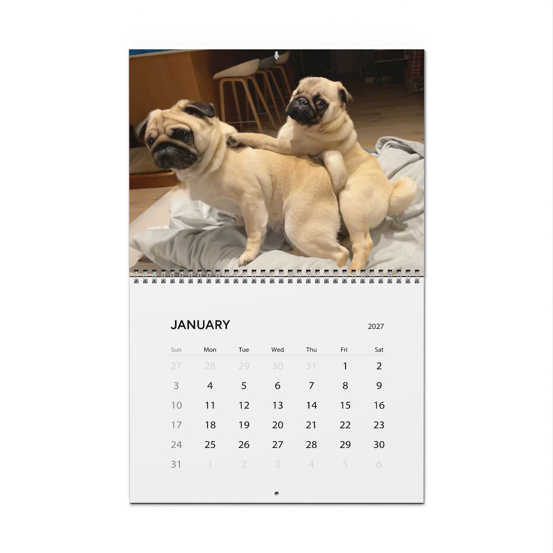 Pugs in Compromising Positions Wall Calendars 2027