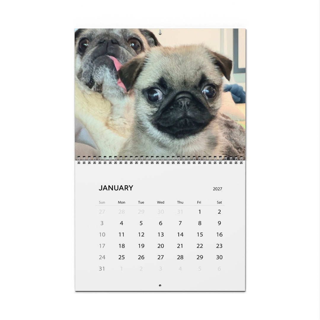 Pop Tart Pug Puppy 2027 Wall Calendar
