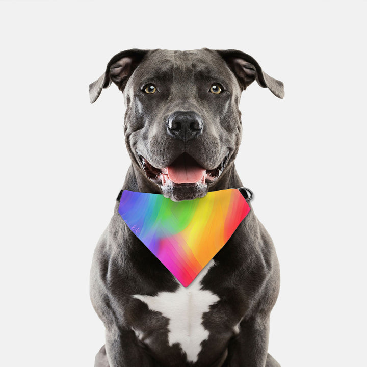 Rainbow Pride Pet Bandana Collar