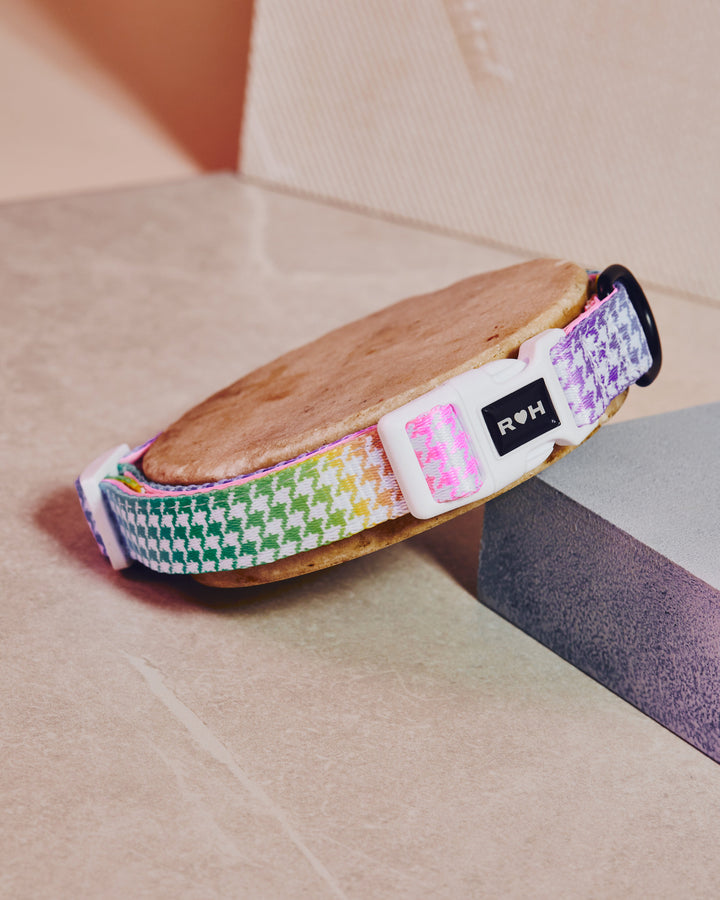 Rainbowtooth Collar &amp; Bowtie