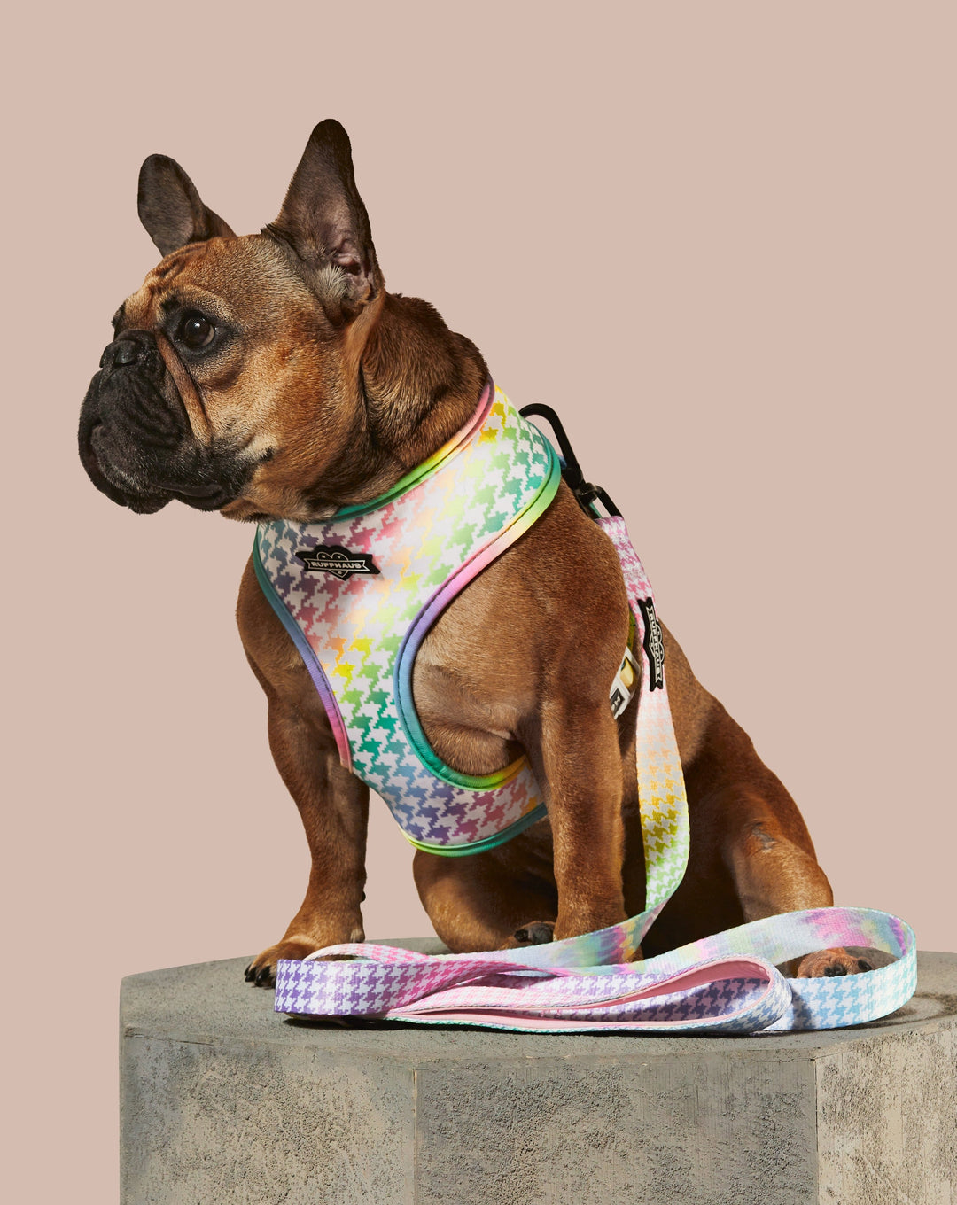 Rainbowtooth Reversible Harness