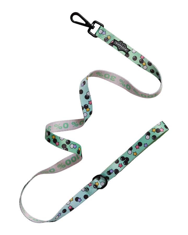Matcha Boba Dog Leash
