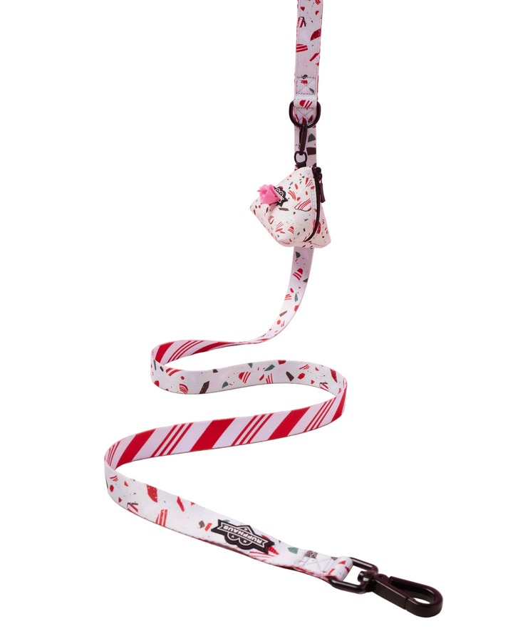 Peppermint Bark Dog Leash
