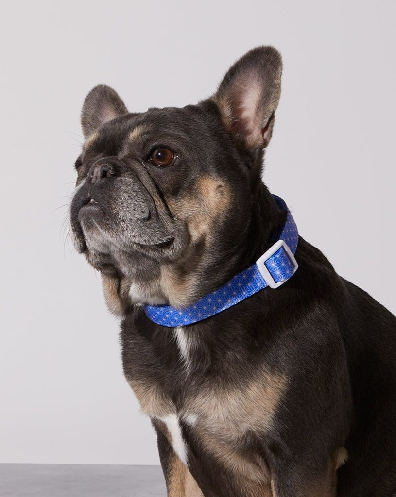 Asanoha Dog Collar &amp; Bowtie