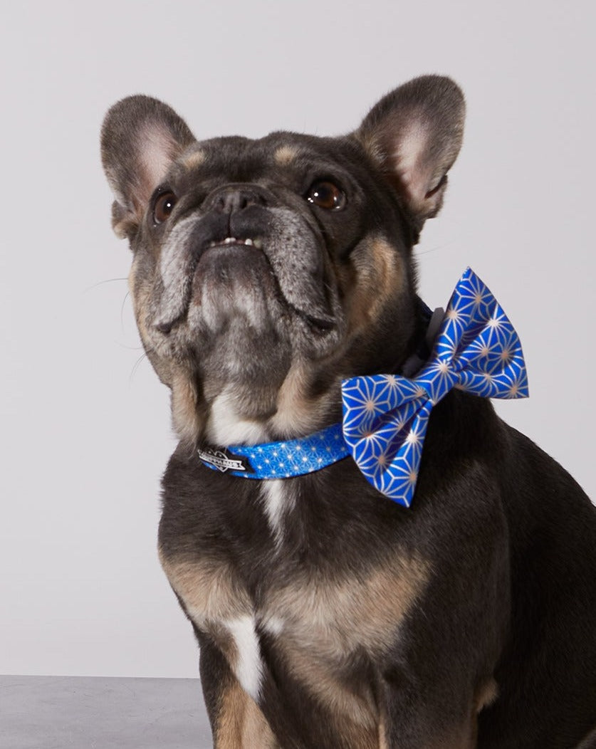Asanoha Dog Collar &amp; Bowtie