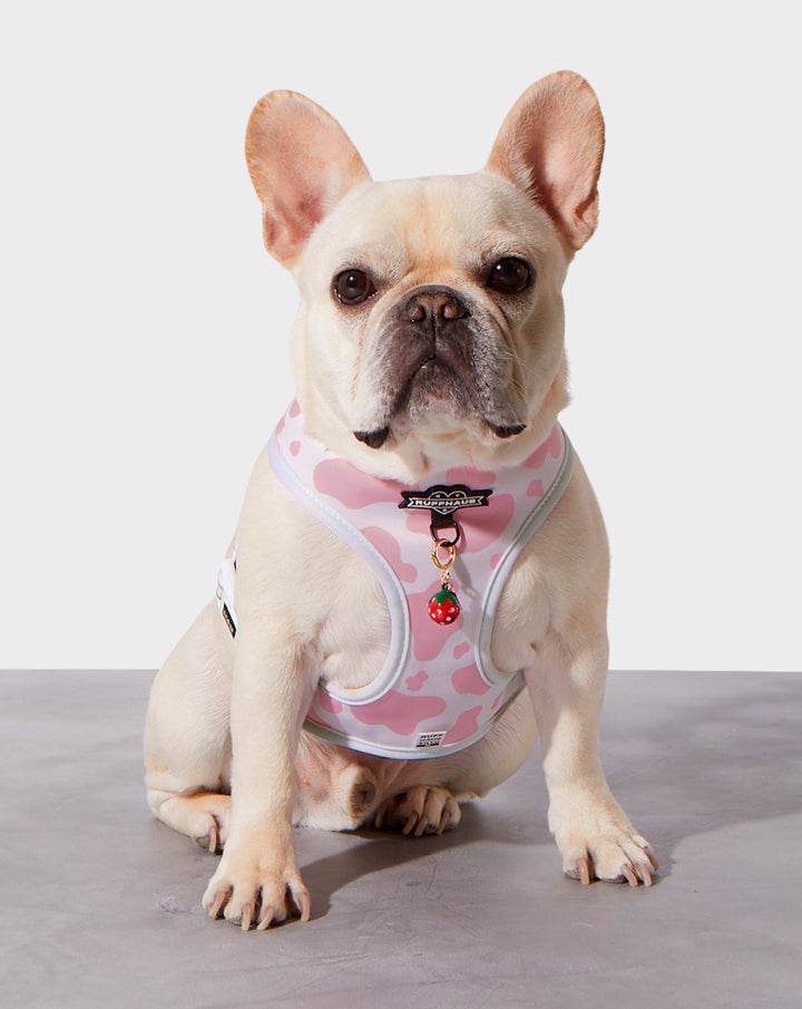 Strawberry Milk Reversible Harness