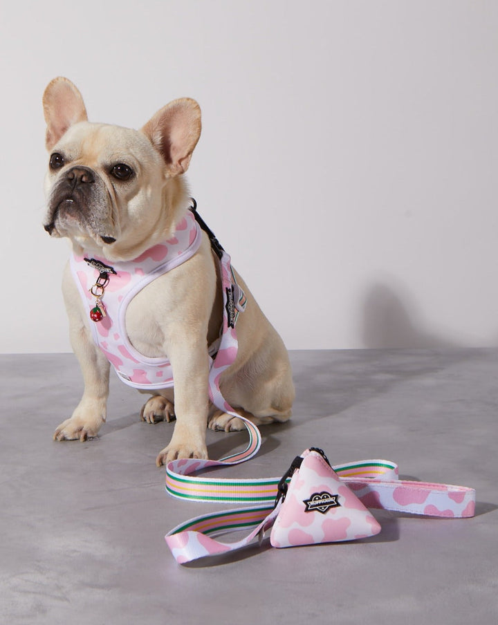 Pink Moo&