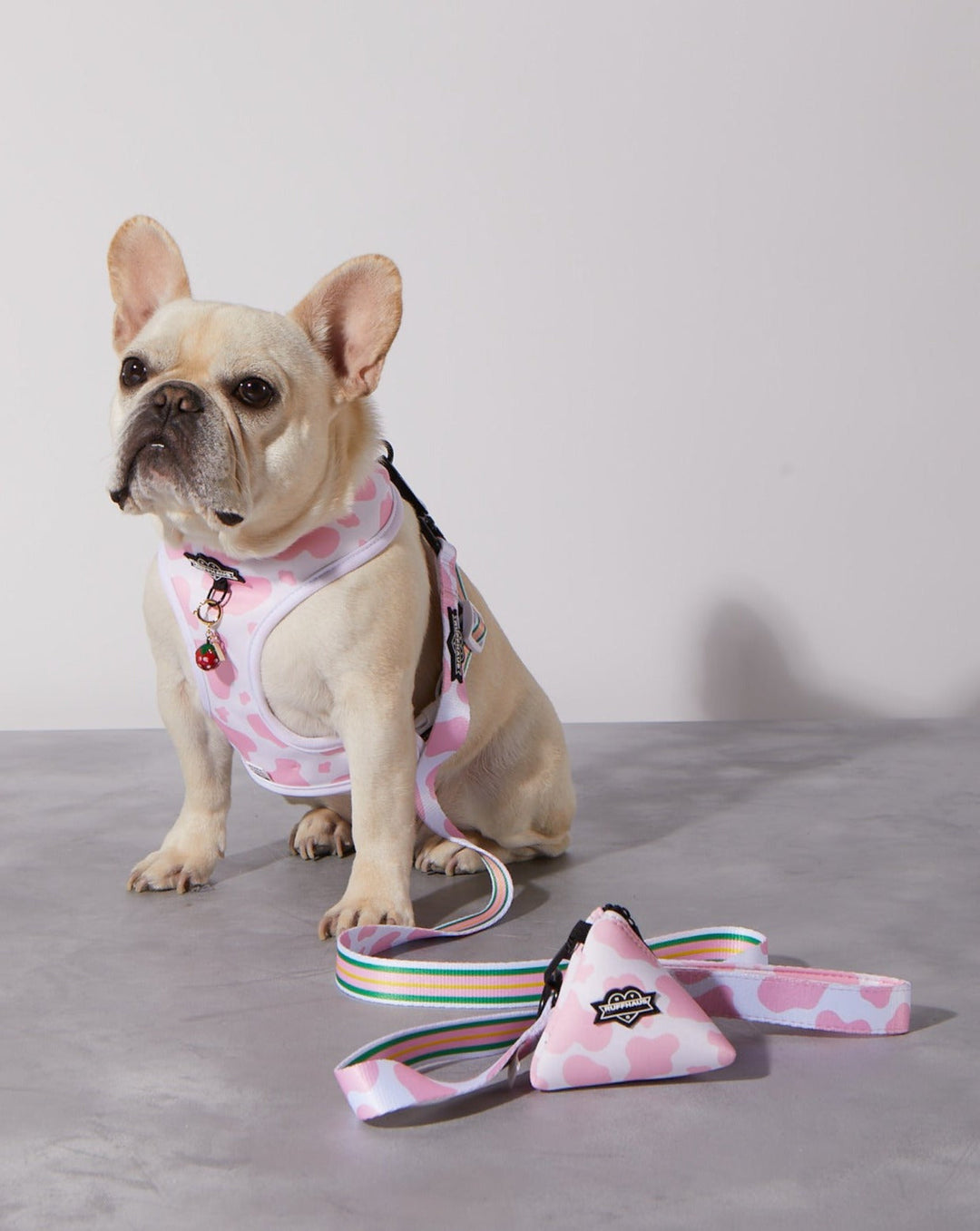 Strawberry Milk Reversible Harness