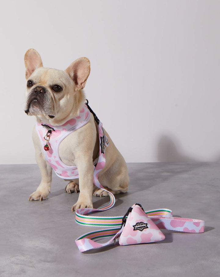 Strawberry Milk Reversible Harness