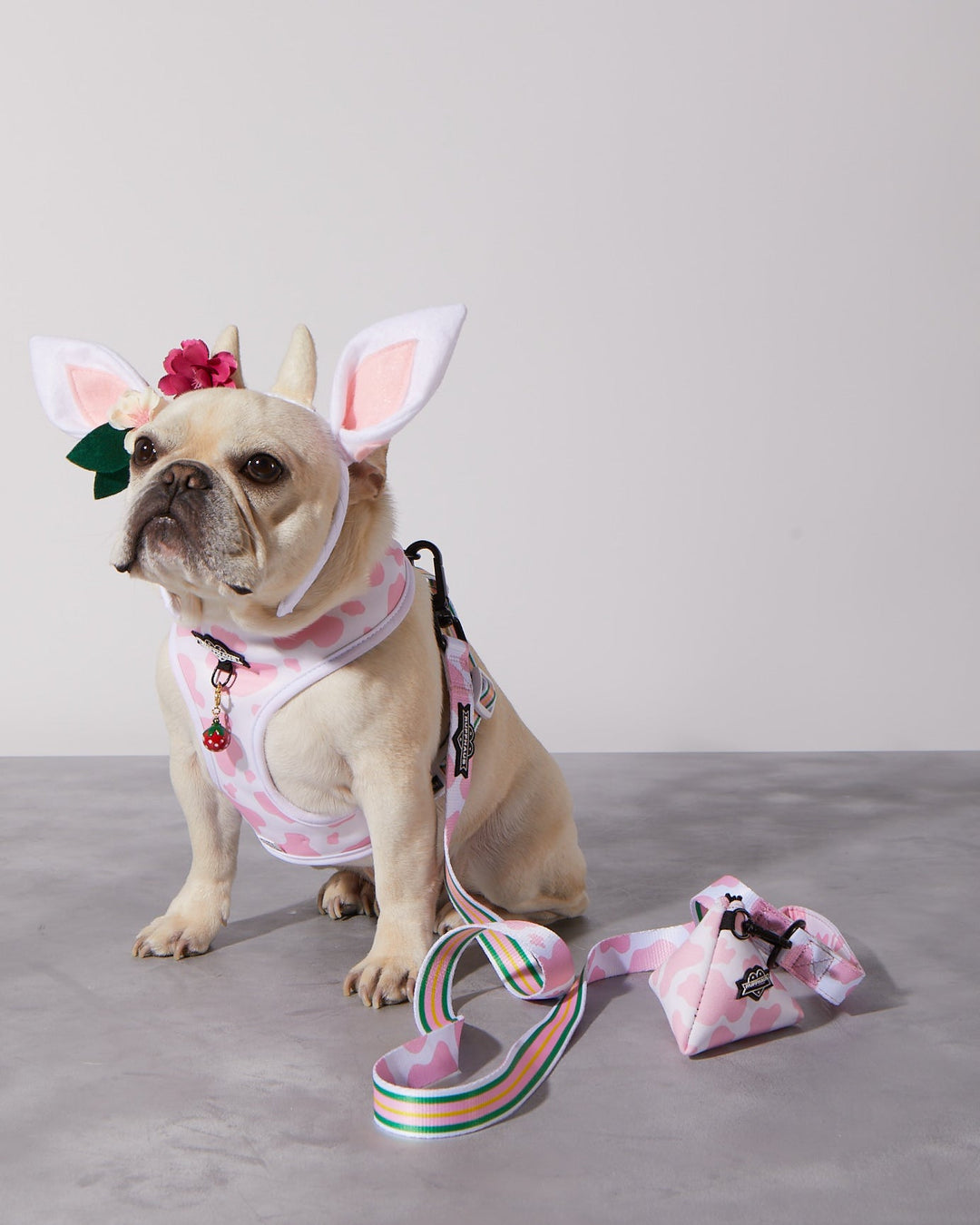 Pink Moo&