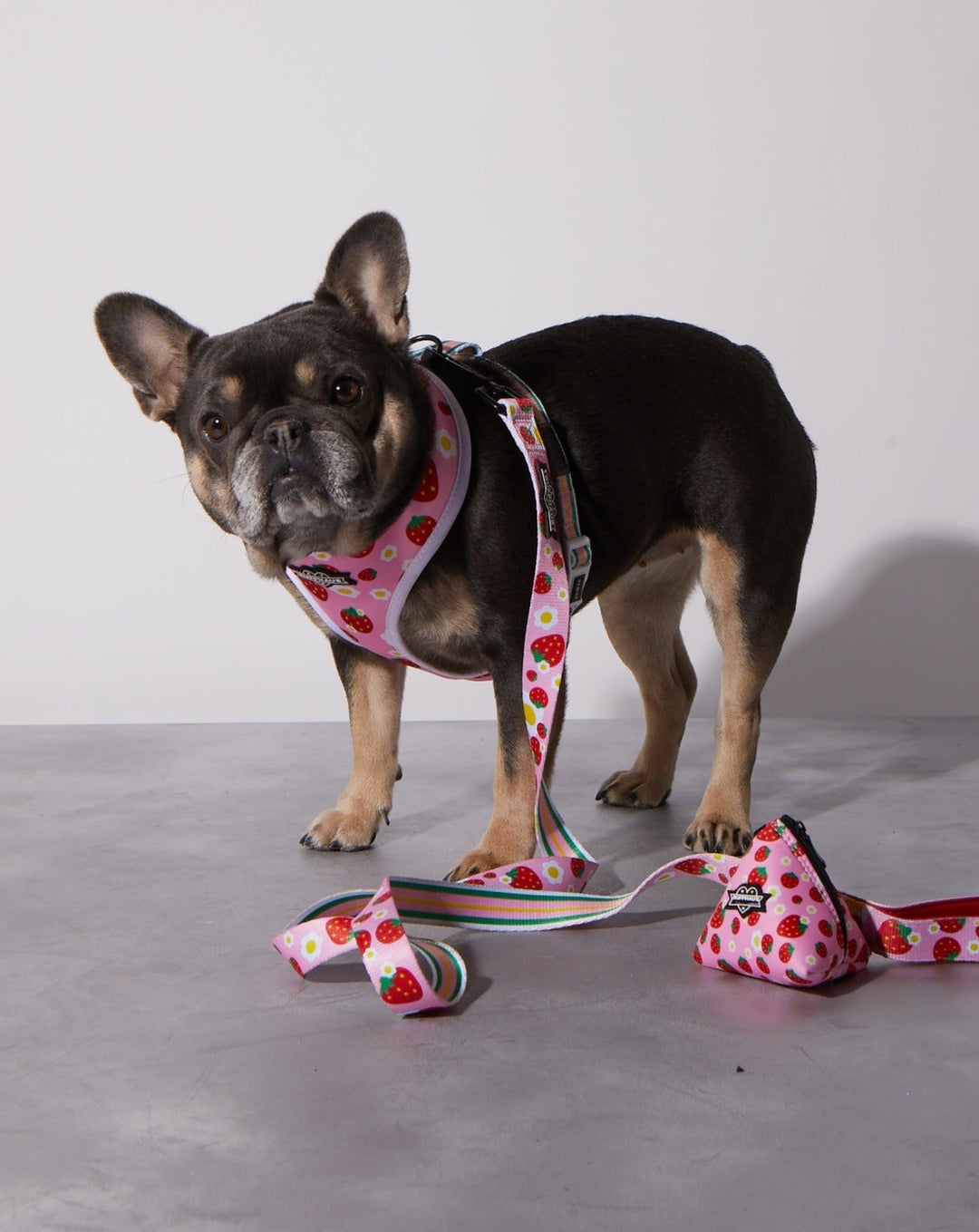 Strawberry Poop Bag Holder