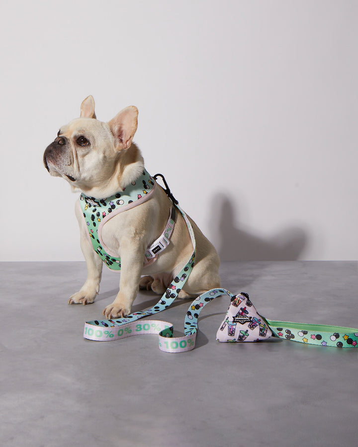 Boba Time Poop Bag Holder