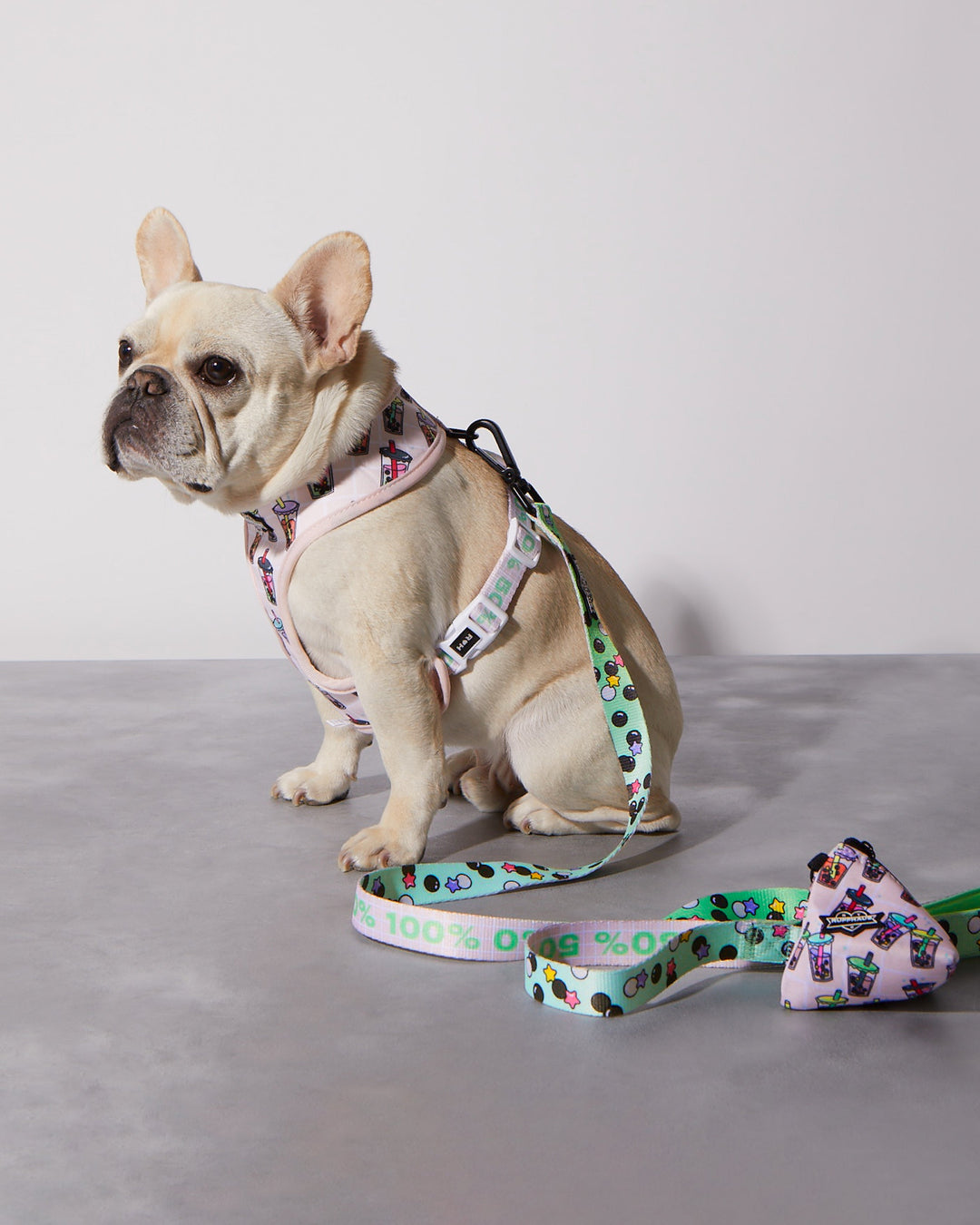 Matcha Boba Reversible Harness