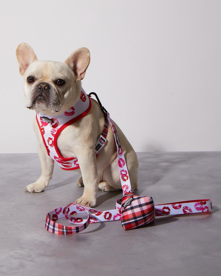 Puppy Love Plaid Poop Bag Holder