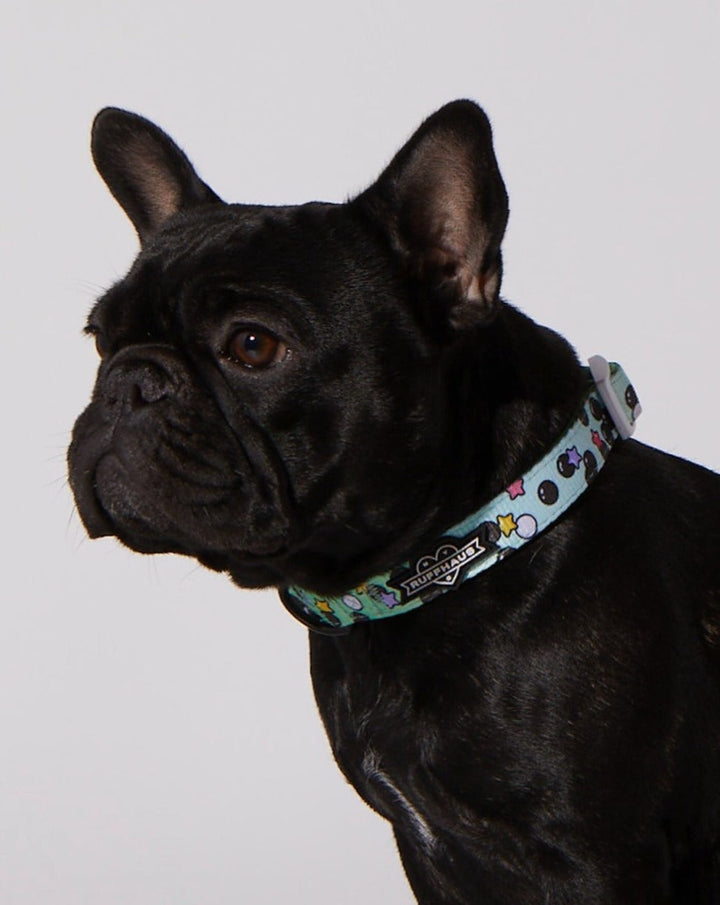 Matcha Boba Dog Collar &amp; Bowtie