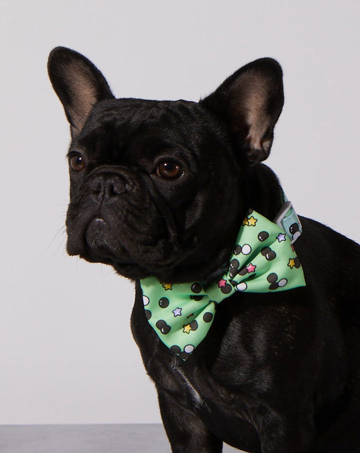 Matcha Boba Dog Collar &amp; Bowtie