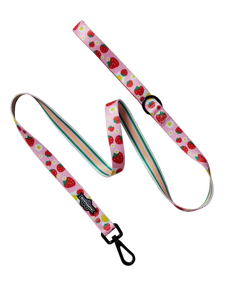 Strawberry Dog Leash