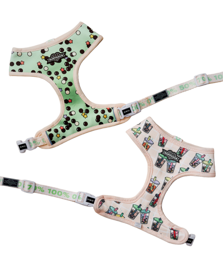 Matcha Boba Reversible Harness