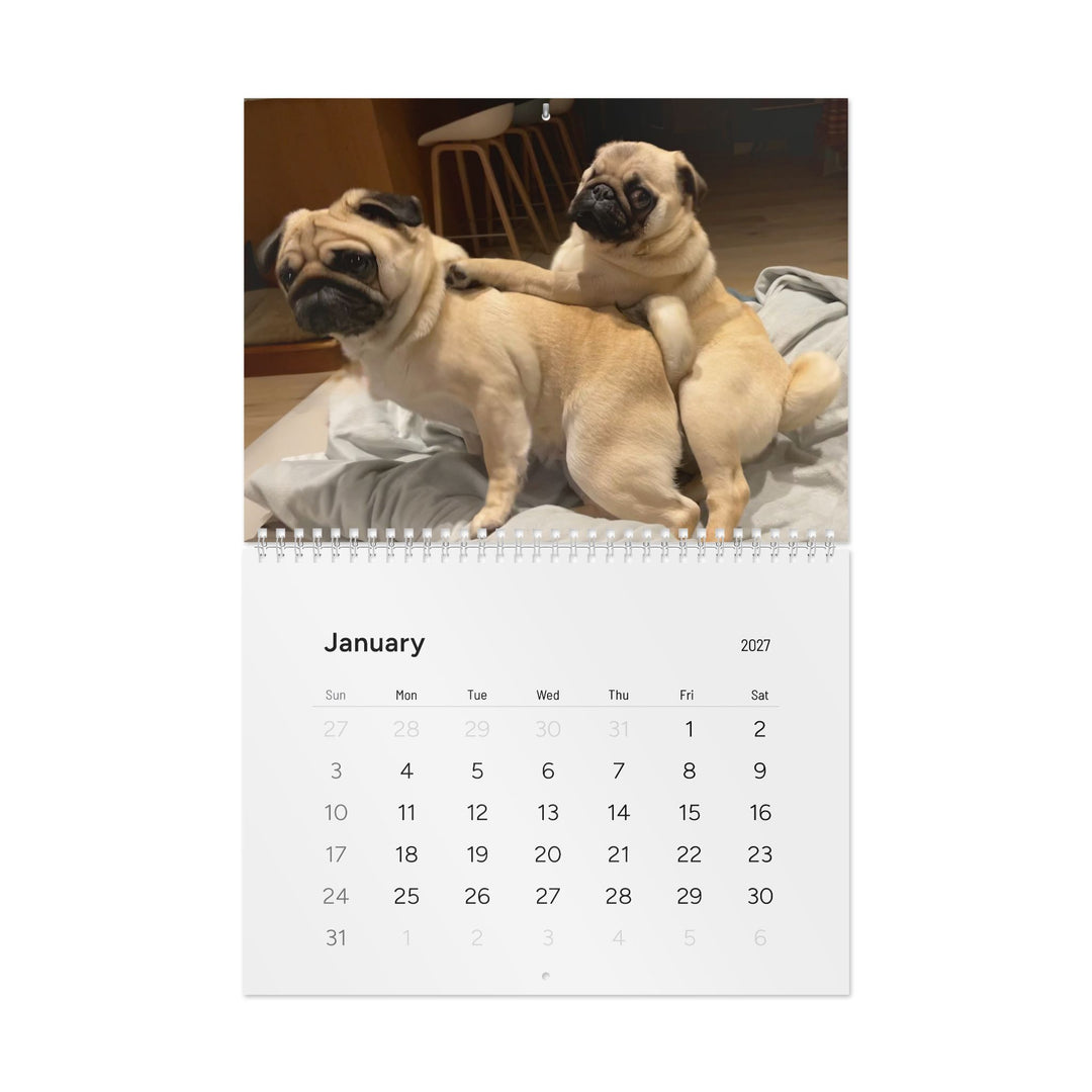 Pugs in Compromising Positions Wall Calendars 2027
