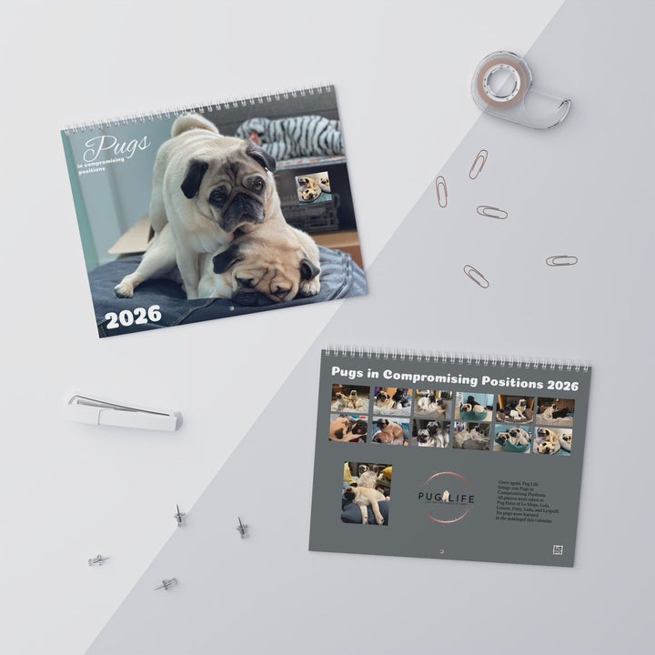 Pugs in Compromising Positions Wall Calendars 2026