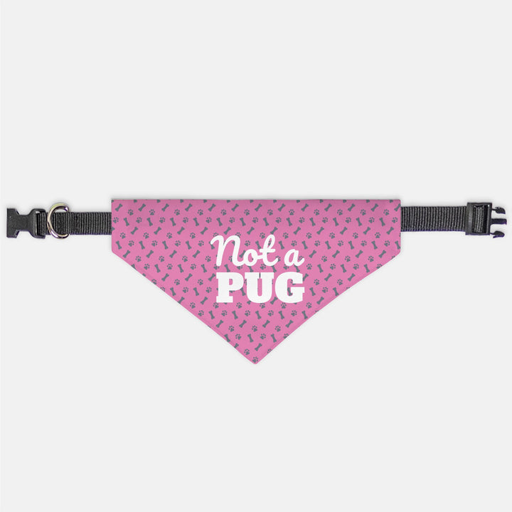 Not a Pug Pet Bandana Collar