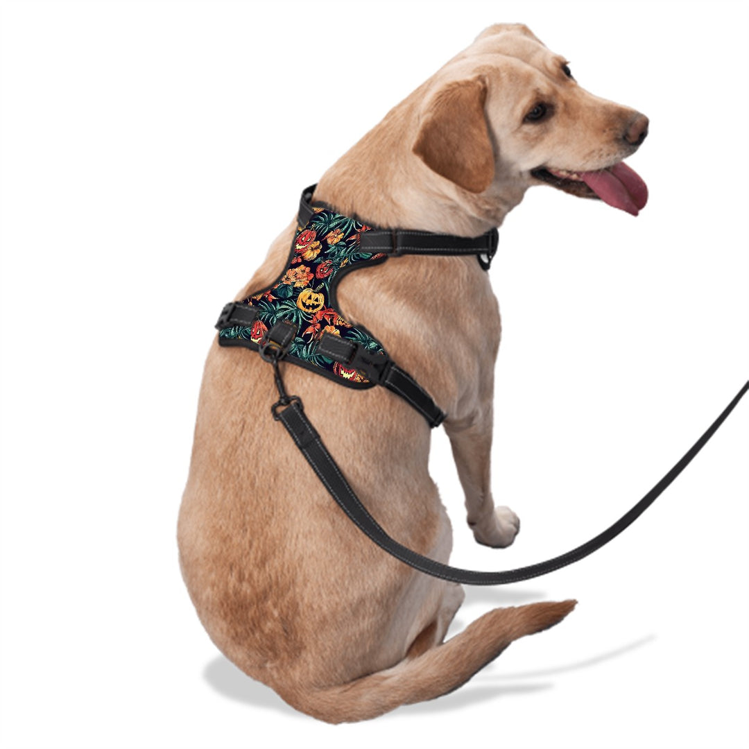 Halloween Pumpkin Dog Harness