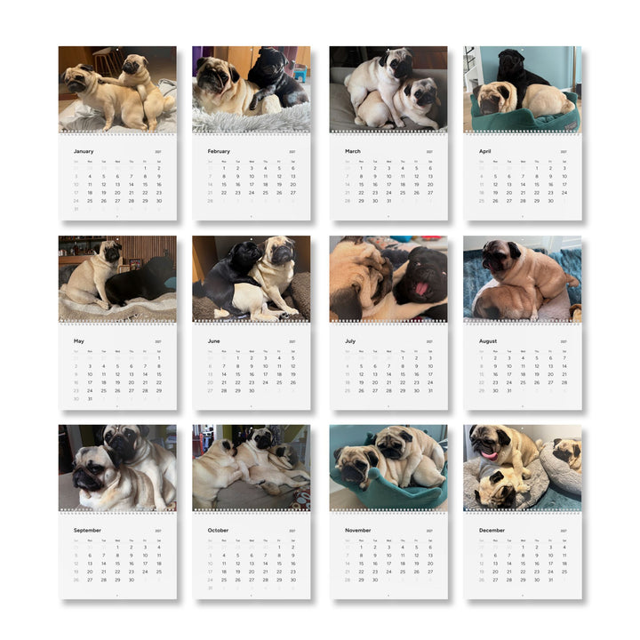 Pugs in Compromising Positions Wall Calendars 2027