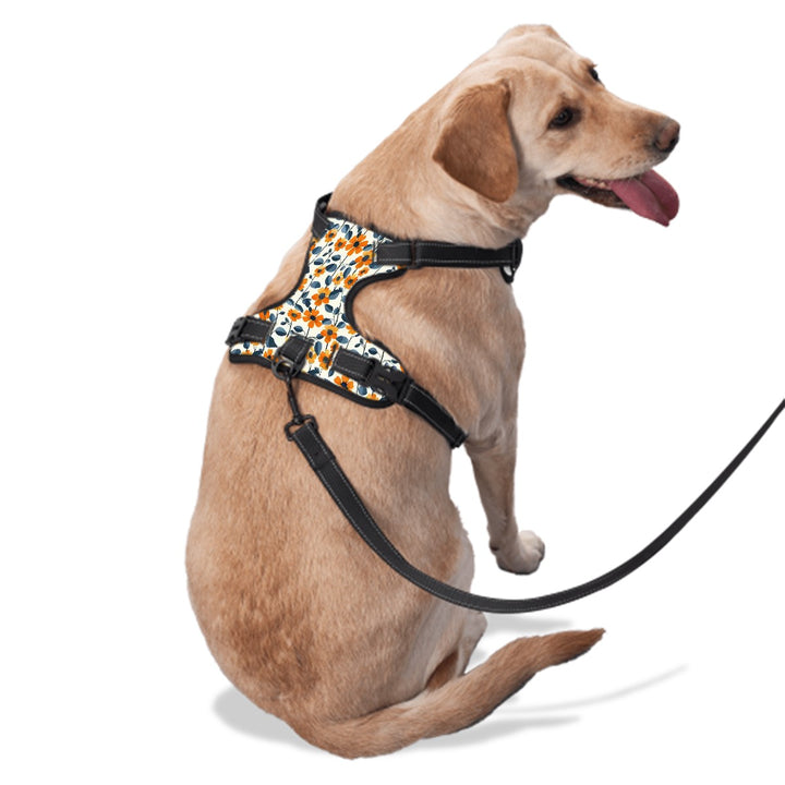 Midcentury Orange Floral Dog Harness