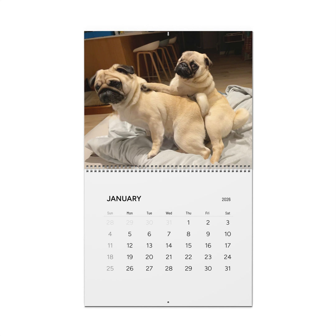Pugs in Compromising Positions Wall Calendars 2026