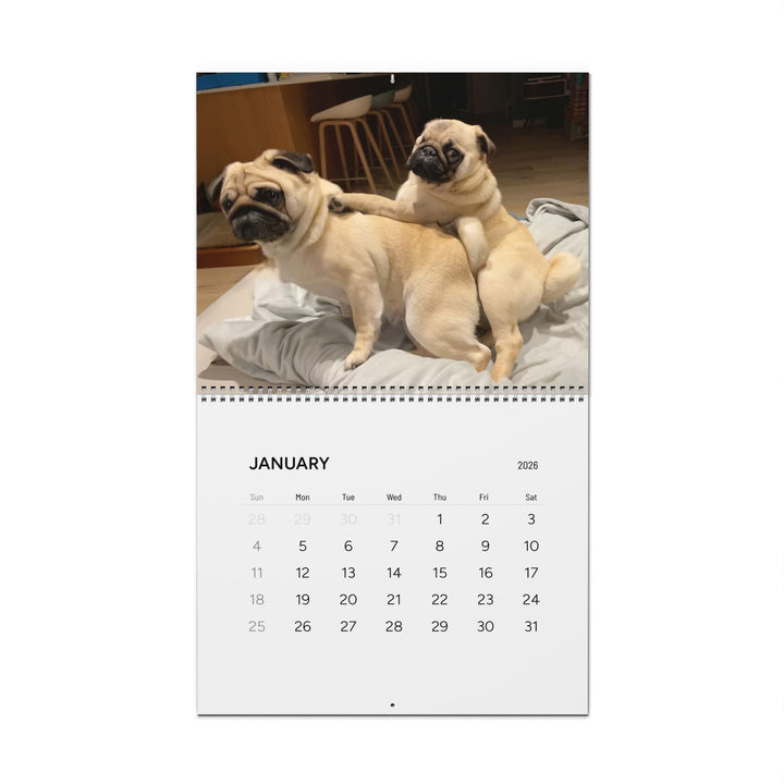 Pugs in Compromising Positions Wall Calendars 2026