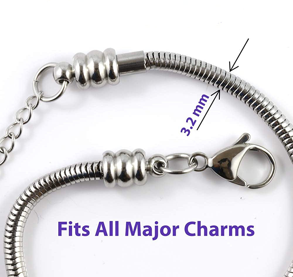 Silver bracelet chain on a white background.