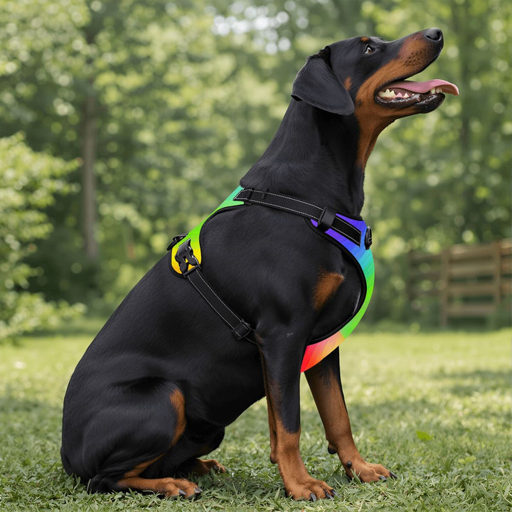 Rainbow Dog Harness