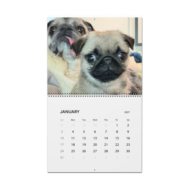 Pop Tart Pug Puppy 2027 Wall Calendar