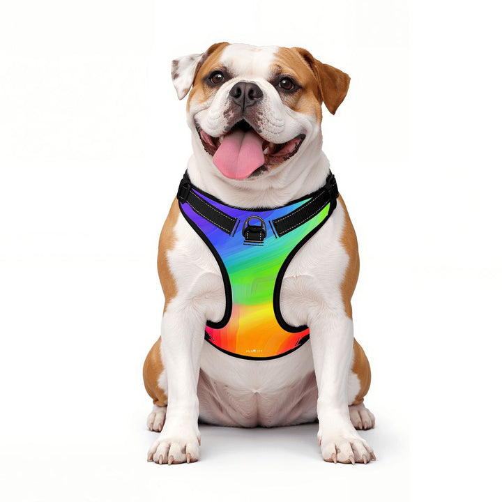 Rainbow Dog Harness