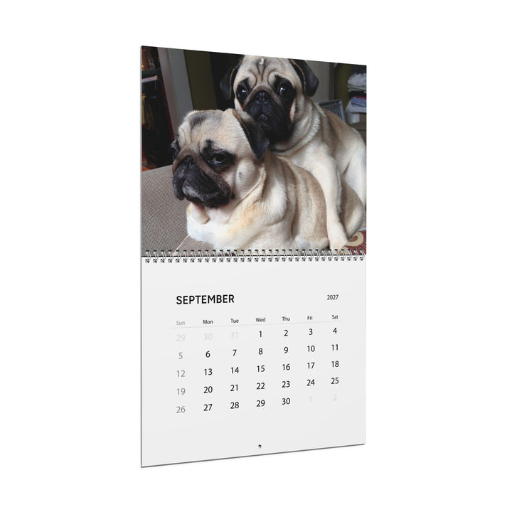 Pugs in Compromising Positions Wall Calendars 2027