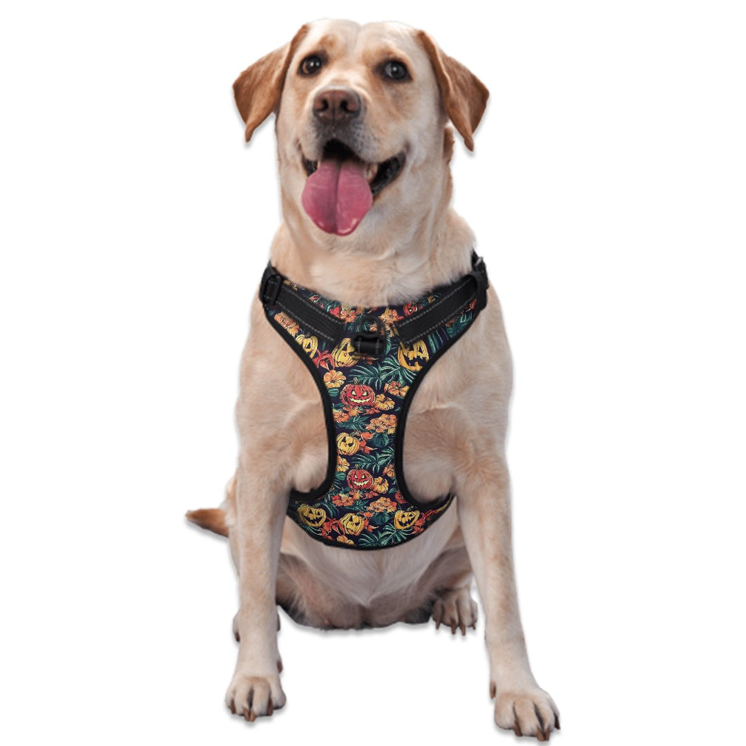 Halloween Pumpkin Dog Harness